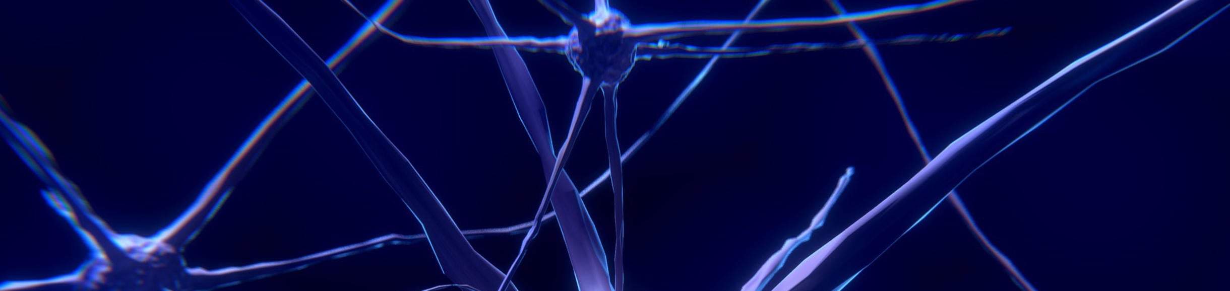 Nerve cell / pixabay.com